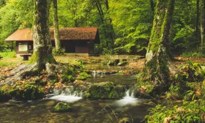 Drewniany domek z czerwoną dachem, ukryty w gęstym lesie, nad strumieniem z małymi wodospadami.