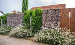 Nowoczesne gabiony w ogrodzie aranżacje tworzą stylowe ogrodzenie, otoczone kwitnącymi krzewami i zielenią.