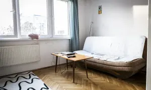 Jak urządzić małe mieszkanie 20 m? Wygodna kanapa, stolik z laptopem i urocza świnka na parapecie.