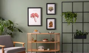 Zieleń ścian i subtelne dekoracje tworzą inspirację dla modnych kolorów farb do pokoju.