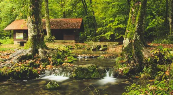 Drewniany domek z czerwoną dachem, ukryty w gęstym lesie, nad strumieniem z małymi wodospadami.