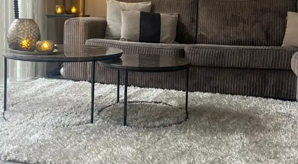 Przytulny salon z sofą w kolorze greige, dwoma stolikami kawowymi i puszystym dywanem.