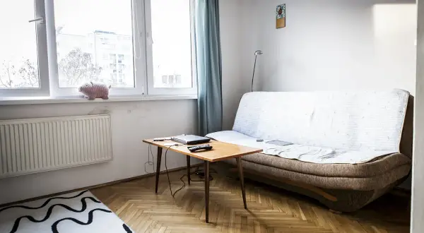 Jak urządzić małe mieszkanie 20 m? Wygodna kanapa, stolik z laptopem i urocza świnka na parapecie.