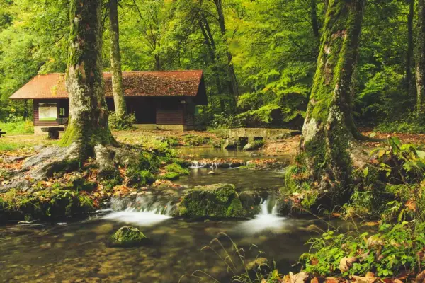 Drewniany domek z czerwoną dachem, ukryty w gęstym lesie, nad strumieniem z małymi wodospadami.